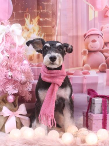 20241222音ちゃん